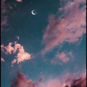 Meet your Posher, Amellia